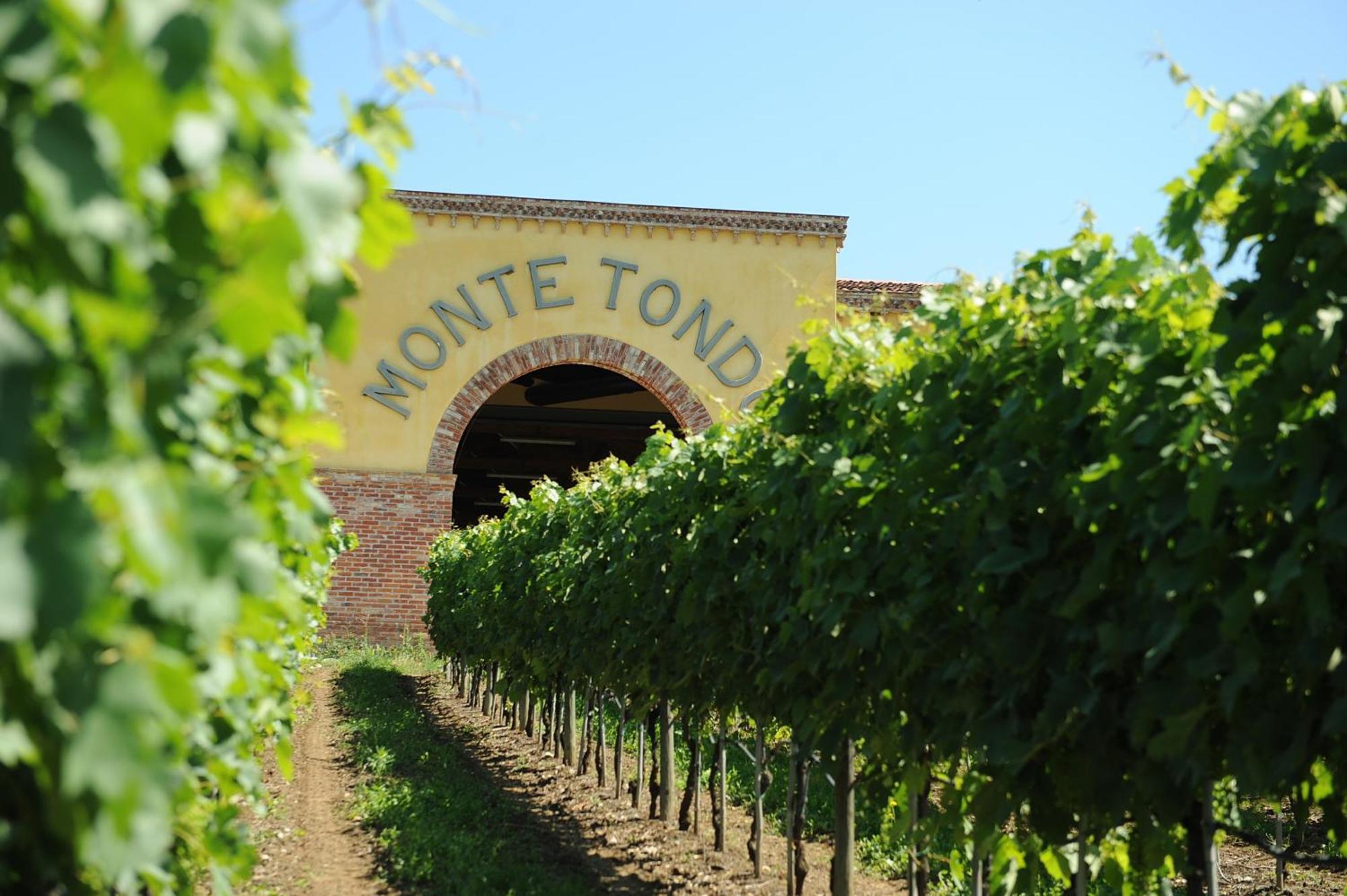 Monte Tondo Winery e B&B Soave  Exterior foto